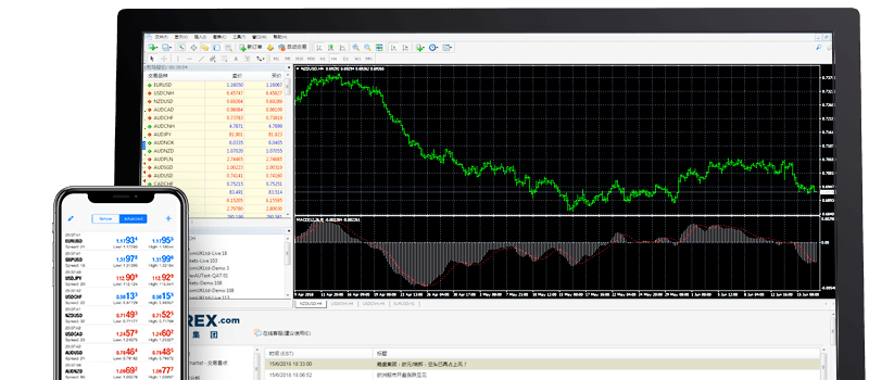 Metatrader Platform