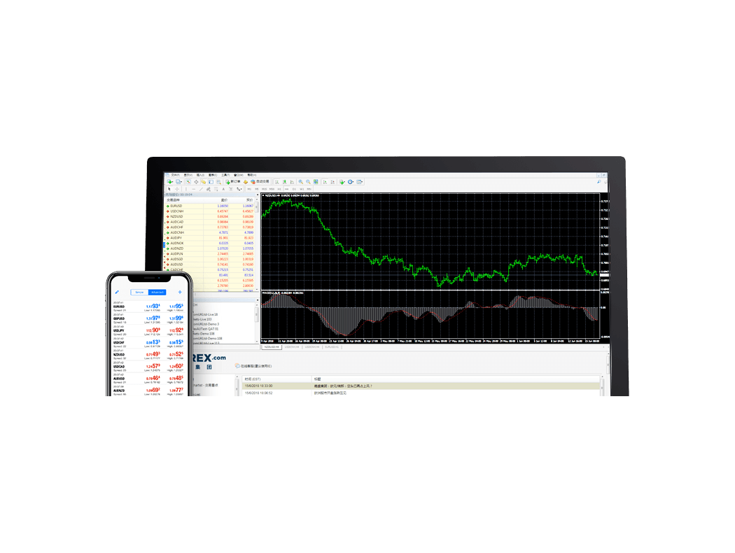 Metatrader Trading Platform